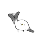 やわらかカモメ（個別スタンプ：33）