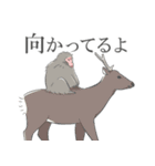 ニホンザル詰め合わせ by JMC（個別スタンプ：16）