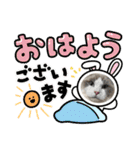 安住さん家のにゃんこ（個別スタンプ：1）