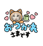 安住さん家のにゃんこ（個別スタンプ：4）