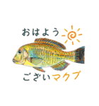 魚ダジャレ日常スタンプ 第三弾（個別スタンプ：1）