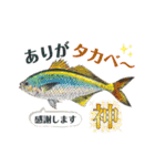 魚ダジャレ日常スタンプ 第三弾（個別スタンプ：3）