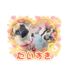 あられ＆ちまき 89（個別スタンプ：18）