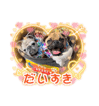 あられ＆ちまき 89（個別スタンプ：25）