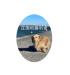 圧倒的勝利者 冬（個別スタンプ：4）