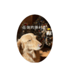 圧倒的勝利者 冬（個別スタンプ：8）