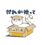 にゃでぃあ（個別スタンプ：13）