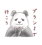 【冬】パンダとコアリクイ（個別スタンプ：30）