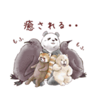 【冬】パンダとコアリクイ（個別スタンプ：32）