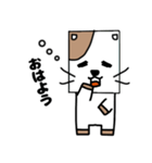 しかくいねこたん（個別スタンプ：1）