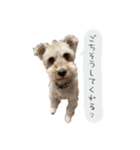 類です！！！（個別スタンプ：2）