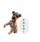 類です！！！（個別スタンプ：8）