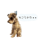 類です！！！（個別スタンプ：9）