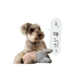 類です！！！（個別スタンプ：11）