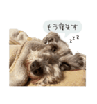 類です！！！（個別スタンプ：12）
