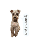 類です！！！（個別スタンプ：15）