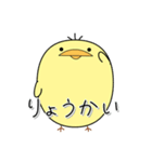 日常使い_ぴーちゃん（個別スタンプ：14）