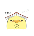 日常使い_ぴーちゃん（個別スタンプ：31）