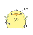 日常使い_ぴーちゃん（個別スタンプ：40）