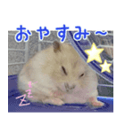 ハムスターの小麦（個別スタンプ：5）