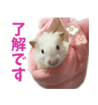 ハムスターの小麦（個別スタンプ：8）