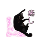 黒猫のちゃちゃくん（個別スタンプ：23）