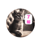 ゆるかわ子猫（個別スタンプ：9）