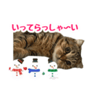 モカとビスのご機嫌な毎日 X'mas ＆お正月（個別スタンプ：4）