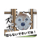 びみょーなときのスタンプ（個別スタンプ：6）