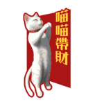 猫の新年の楽しみ超面白い春祭り 2（個別スタンプ：3）