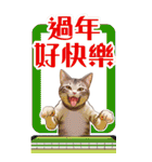 猫の新年の楽しみ超面白い春祭り 2（個別スタンプ：27）