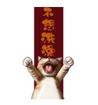 猫の新年の楽しみ超面白い春祭り 2（個別スタンプ：34）