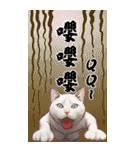 猫の新年の楽しみ超面白い春祭り 2（個別スタンプ：37）