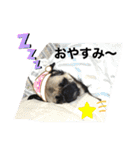くぅちゃんがスタンプになったよ2（個別スタンプ：2）