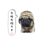 くぅちゃんがスタンプになったよ2（個別スタンプ：6）