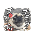 くぅちゃんがスタンプになったよ2（個別スタンプ：14）