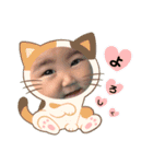 AS姉妹（個別スタンプ：8）