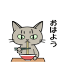 ラーメンを食べる猫 [改定版]（個別スタンプ：1）