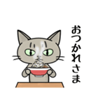 ラーメンを食べる猫 [改定版]（個別スタンプ：4）