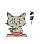 ラーメンを食べる猫 [改定版]（個別スタンプ：5）