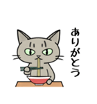 ラーメンを食べる猫 [改定版]（個別スタンプ：11）