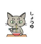 ラーメンを食べる猫 [改定版]（個別スタンプ：13）