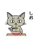 ラーメンを食べる猫 [改定版]（個別スタンプ：15）