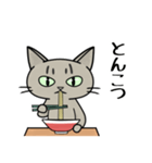 ラーメンを食べる猫 [改定版]（個別スタンプ：16）