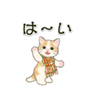 冬の猫にゃんスタンプ（個別スタンプ：3）