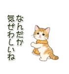 冬の猫にゃんスタンプ（個別スタンプ：35）