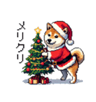 ドット絵 サンタ 柴犬 クリスマス 40種 冬（個別スタンプ：8）