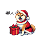 ドット絵 サンタ 柴犬 クリスマス 40種 冬（個別スタンプ：16）