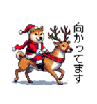 ドット絵 サンタ 柴犬 クリスマス 40種 冬（個別スタンプ：19）