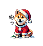 ドット絵 サンタ 柴犬 クリスマス 40種 冬（個別スタンプ：21）